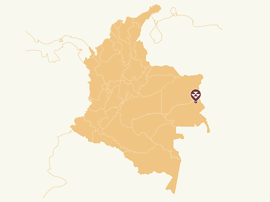 Map of Colombia. Region of Guainia Paujil.